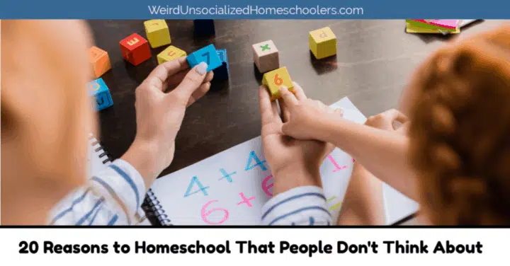 20 Reasons to Homeschool That People Don't Think About