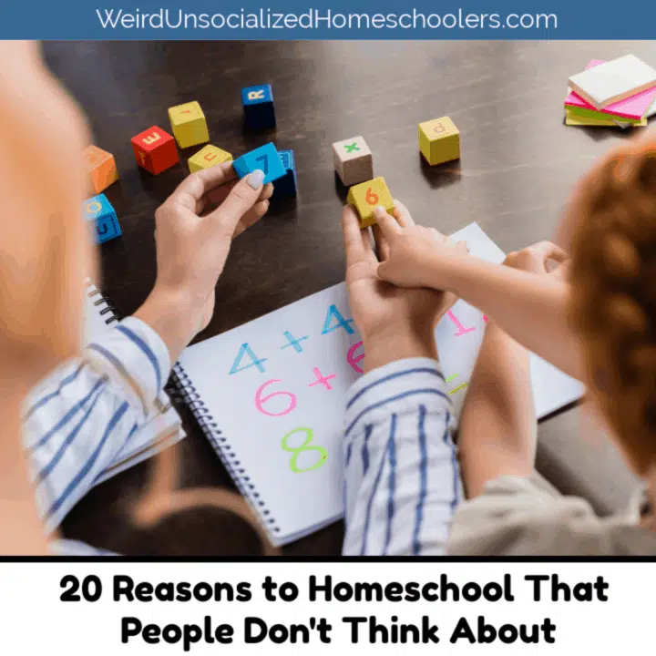 20 Reasons to Homeschool That People Don’t Think About