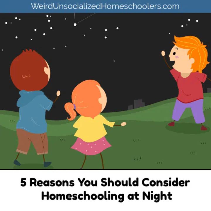 5 Reasons You Should Consider Homeschooling at Night