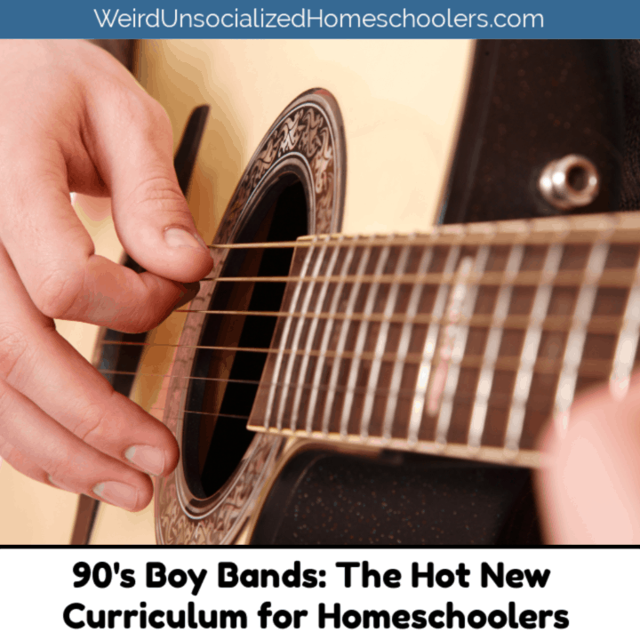 90’s Boy Bands: The Hot New Curriculum for Homeschoolers