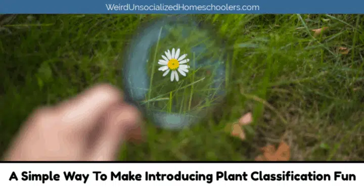 A Simple Way To Make Introducing Plant Classification Fun