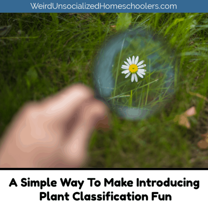 A Simple Way To Make Introducing Plant Classification Fun