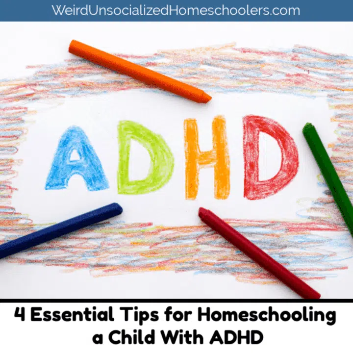 4 Essential Tips for Homeschooling a Child With ADHD