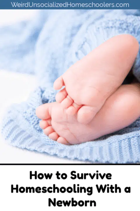 How to Survive Homeschooling With a Newborn