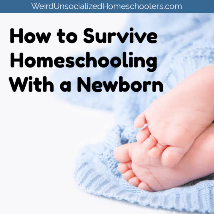 How to Survive Homeschooling With a Newborn