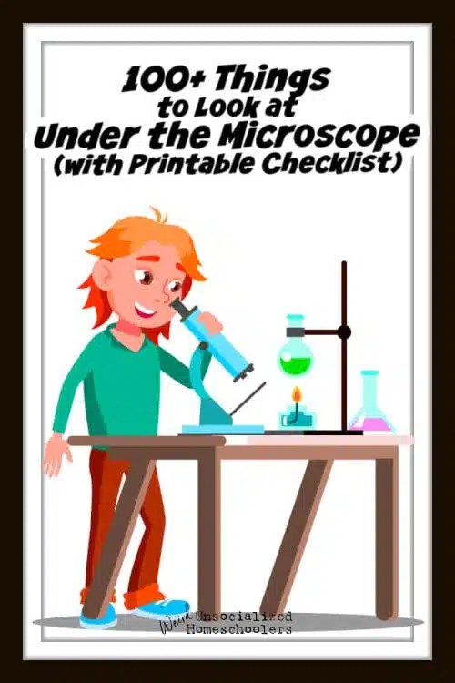 things to look at under the microscope