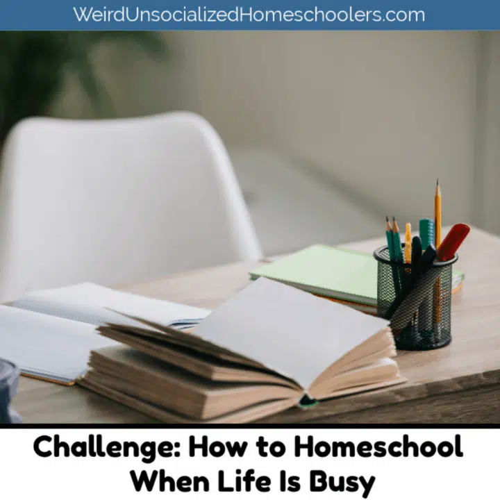 Challenge: How to Homeschool When Life Is Busy