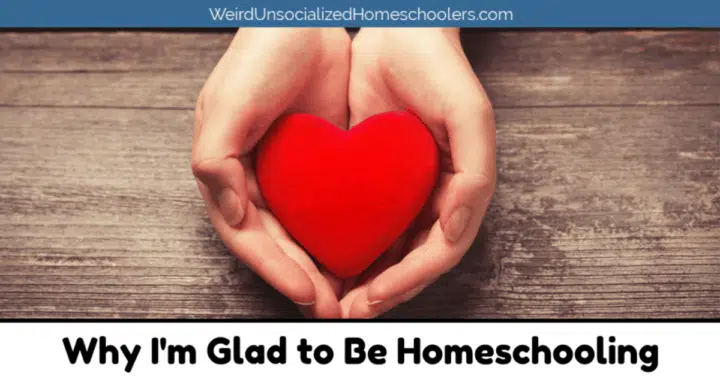 Why I'm Glad to Be Homeschooling