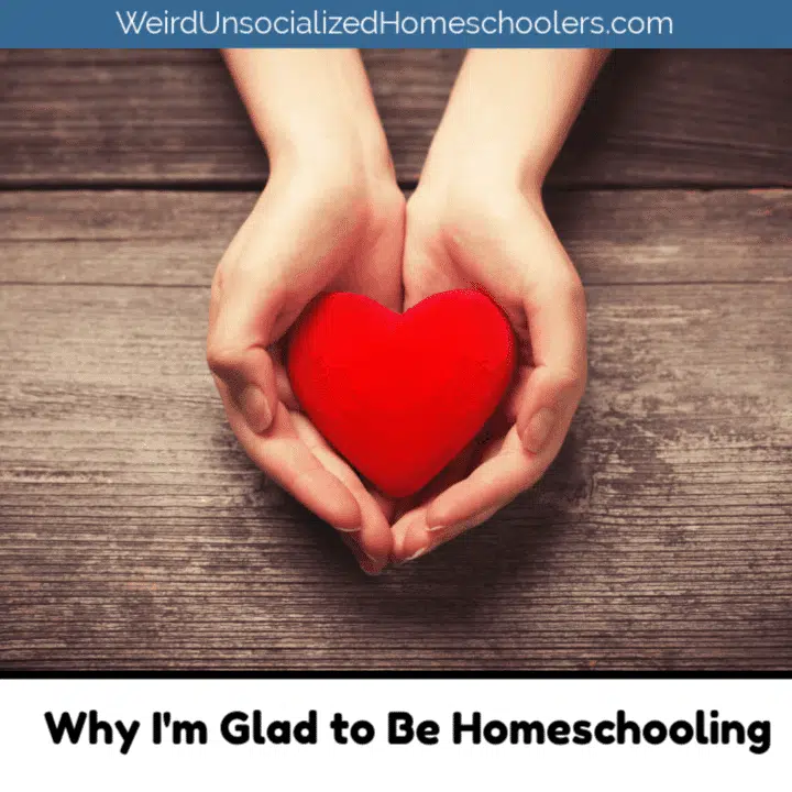 Why I’m Glad to Be Homeschooling
