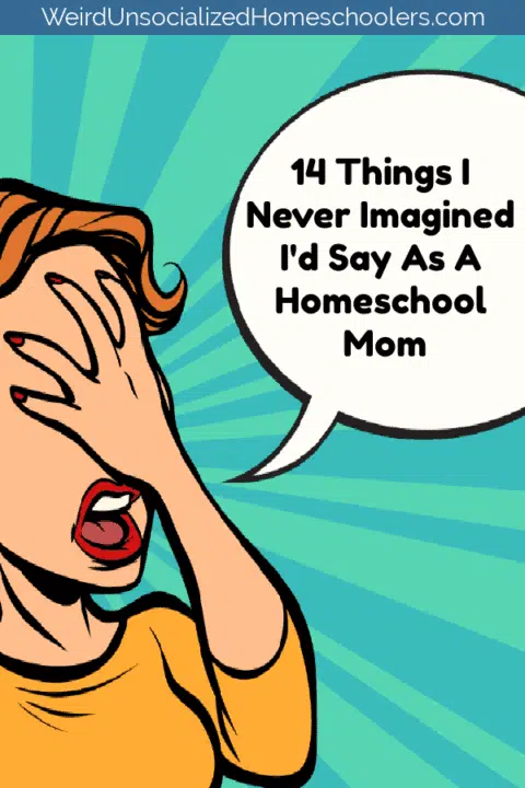 14 Things I Never Imagined I'd Say As A Homeschool Mom