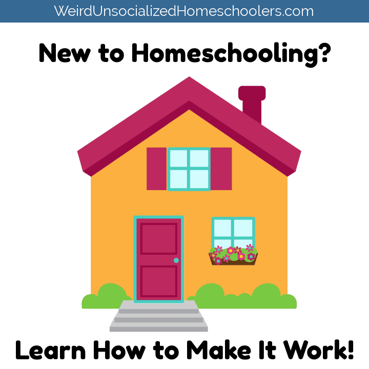 Weird, Unsocialized Homeschoolers - New to Homeschooling? Start Here!
