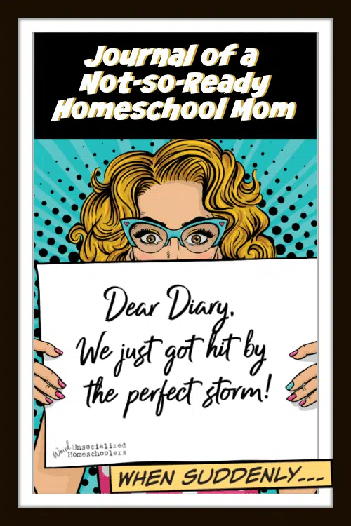 Journal of a Not So Ready Homeschool Mom: The Perfect Storm