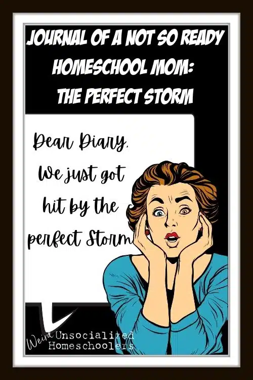 2020 came in like the perfect storm and changed all my plans. Ready or not, rain or shine, I’m homeschooling. So what am I going to do about it? If you're a mom and you find yourself homeschooling even though you are not ready, follow Rachel on her unplanned homeschooling journey.