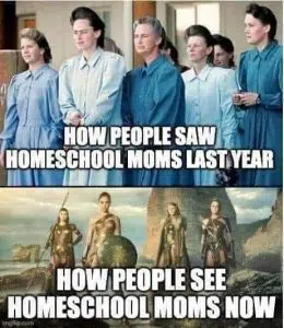 homeschool meme