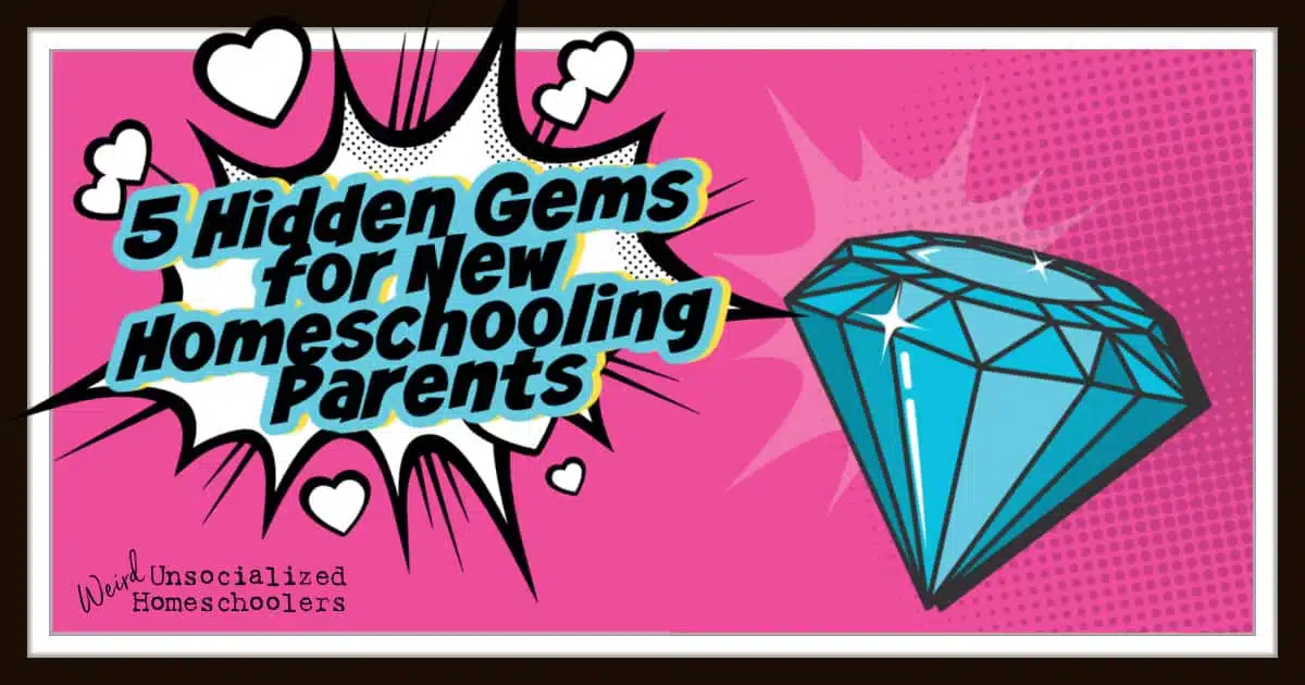 5 Hidden Gems for New Homeschooling Parents