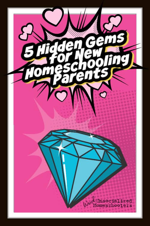 5 Hidden Gems for New Homeschooling Parents