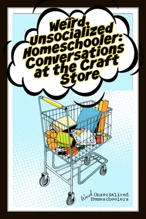 Weird, Unsocialized Homeschooler: Conversations at the Craft Store