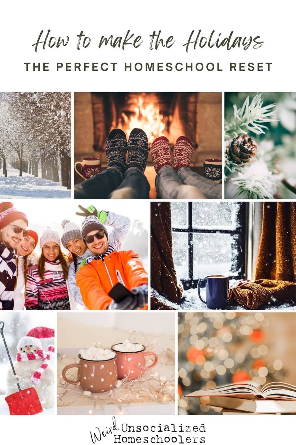 How to Make the Holidays the Perfect Homeschool Reset - Weird ...
