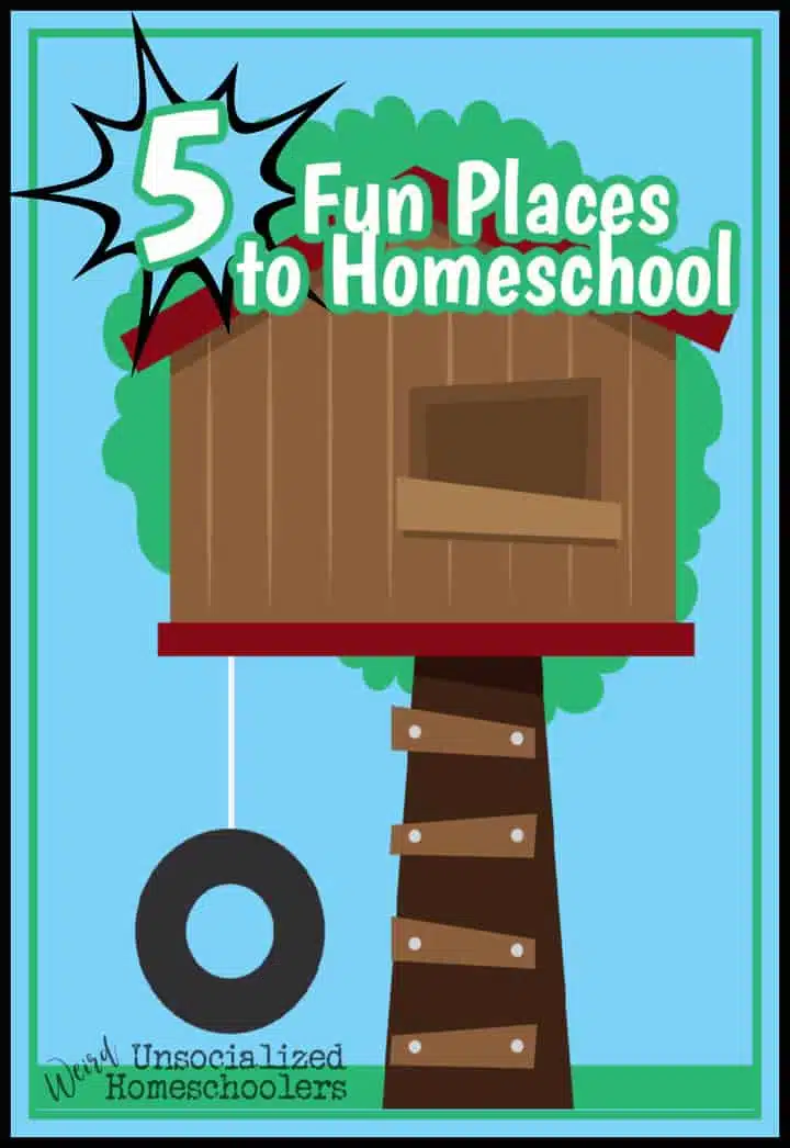 5 Fun Places to Homeschool (That Are NOT a Dedicated Schoolroom)