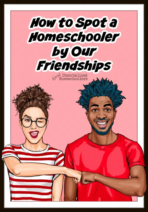 how to spot a homeschooler by our friendships