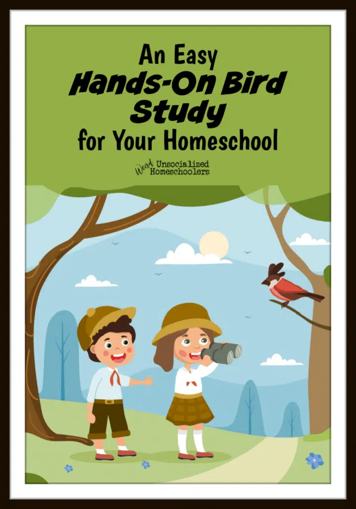 An Easy Hands-On Bird Study for Your Homeschool
