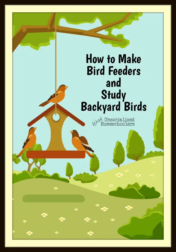 How to Make Bird Feeders and Study Backyard Birds