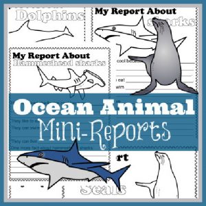 ocean animals report pages