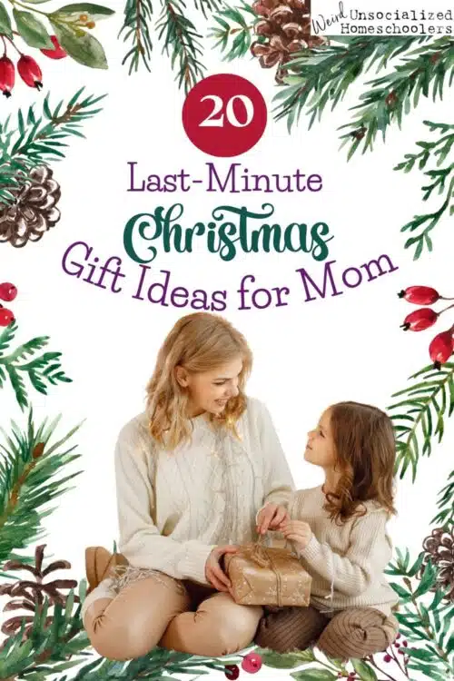 20 Last-Minute Christmas Gift Ideas for the Mom Who Has Everything - Weird,  Unsocialized Homeschoolers