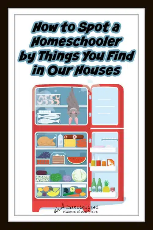 How to Spot a Homeschooler by Things You Find in Our Houses!
