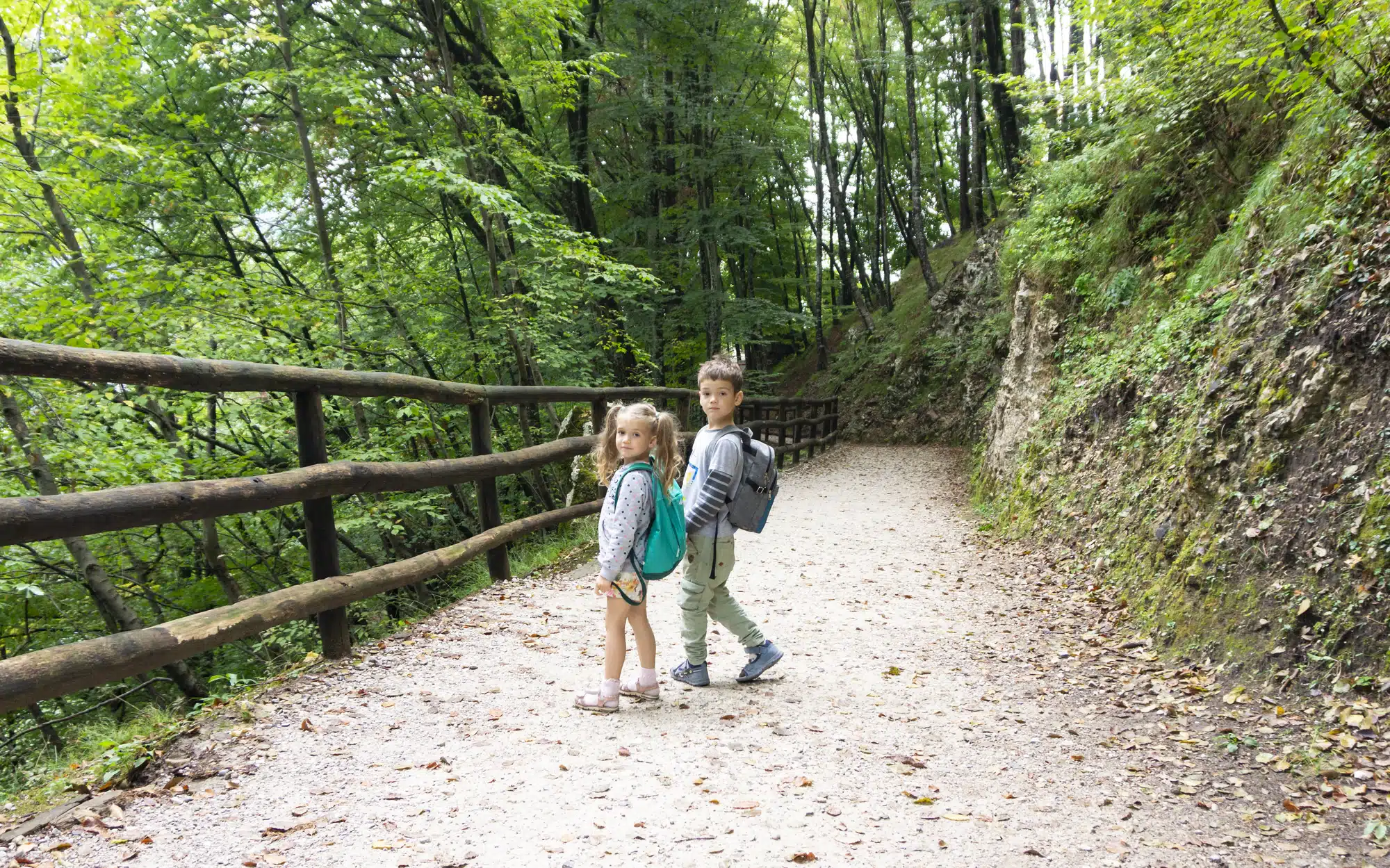 7 Great Ways to Make Walks Engaging and Educational
