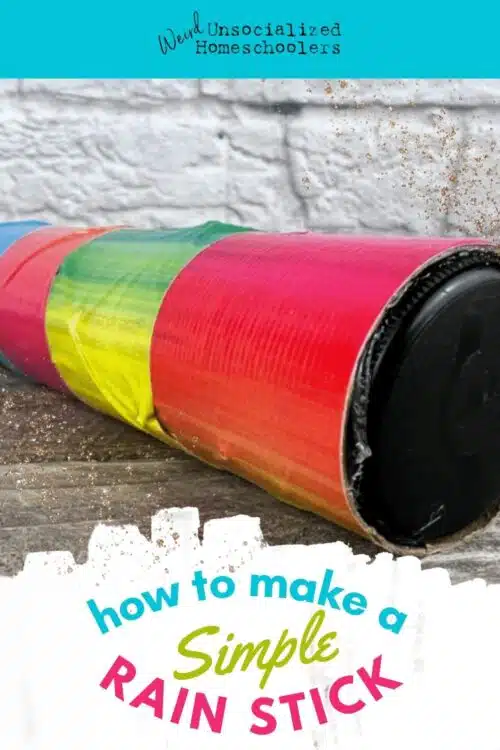 Follow this simple tutorial to learn how to make a rain stick from a paper towel roll and other easy-to-find supplies.