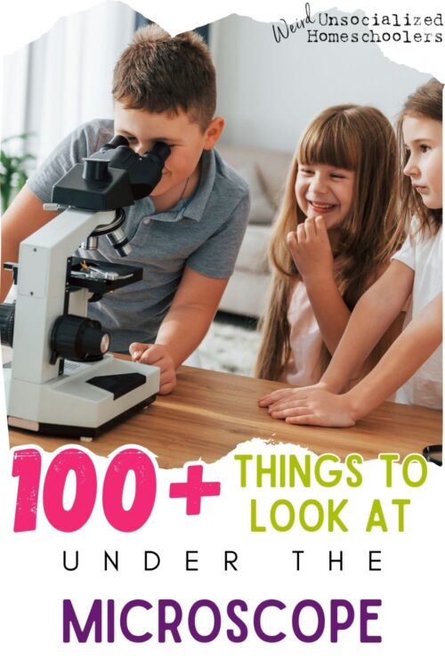 100+ Things to Look at Under the Microscope