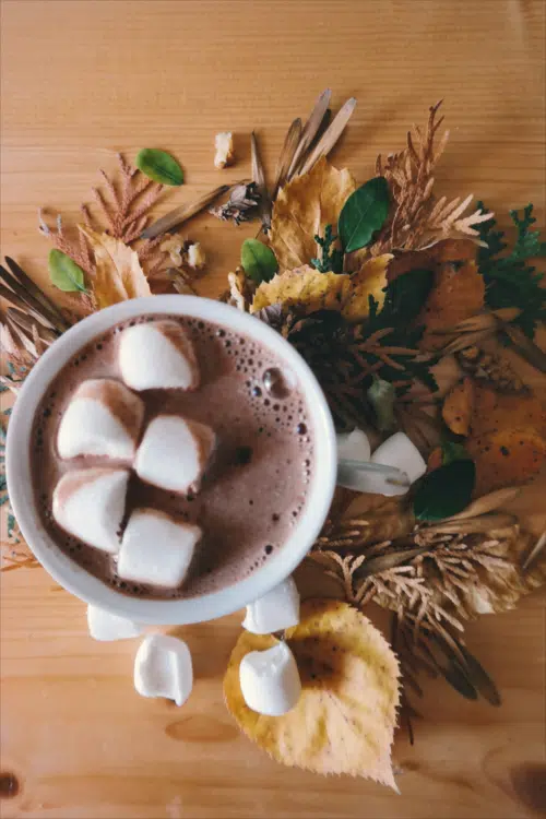 50+ Super-Cool Winter Study Ideas - cup of hot chocolate
