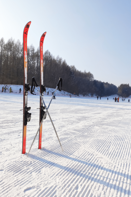 winter field trips - skis