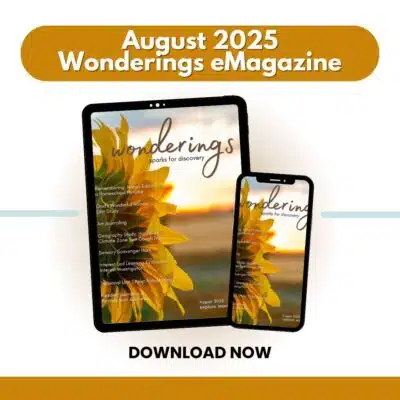 Wonderings: August Homeschool Field Guide