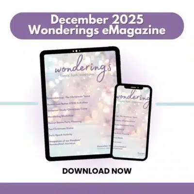 Wonderings – December Homeschool Field Guide
