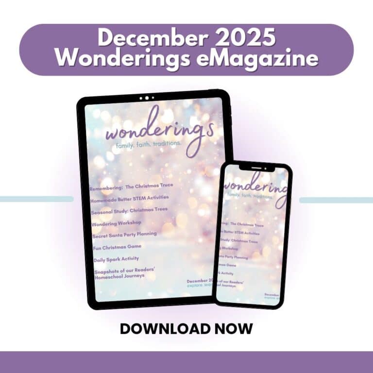 Wonderings – December Homeschool Field Guide
