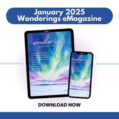 January 2025 Wonderings eMagazine