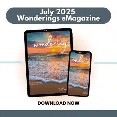 Wonderings – July Homeschool Field Guide