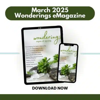 Wonderings – March Homeschool Field Guide