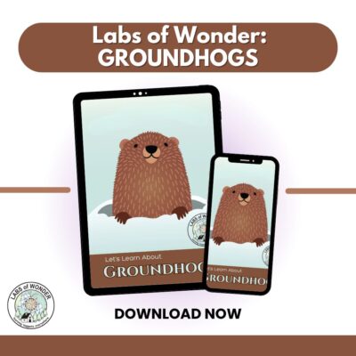 Labs of Wonder: Groundhogs Unit Study