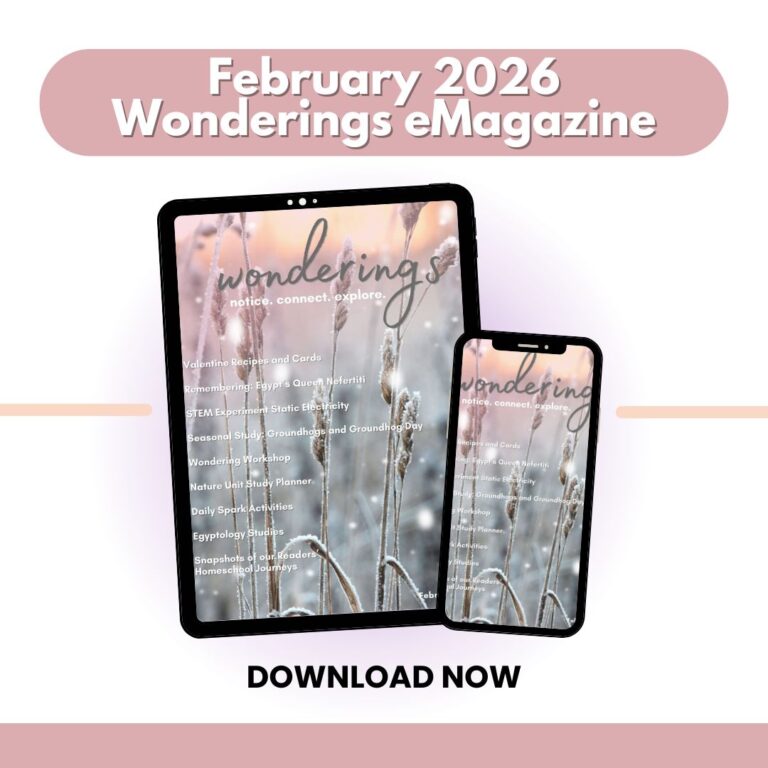 Wonderings – February Homeschool Field Guide