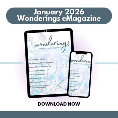 Wonderings - January Homeschool Field Guide