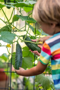 The Garden Lab: Gardening with Kids