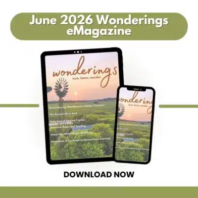 Wonderings - June Homeschool Field Guide