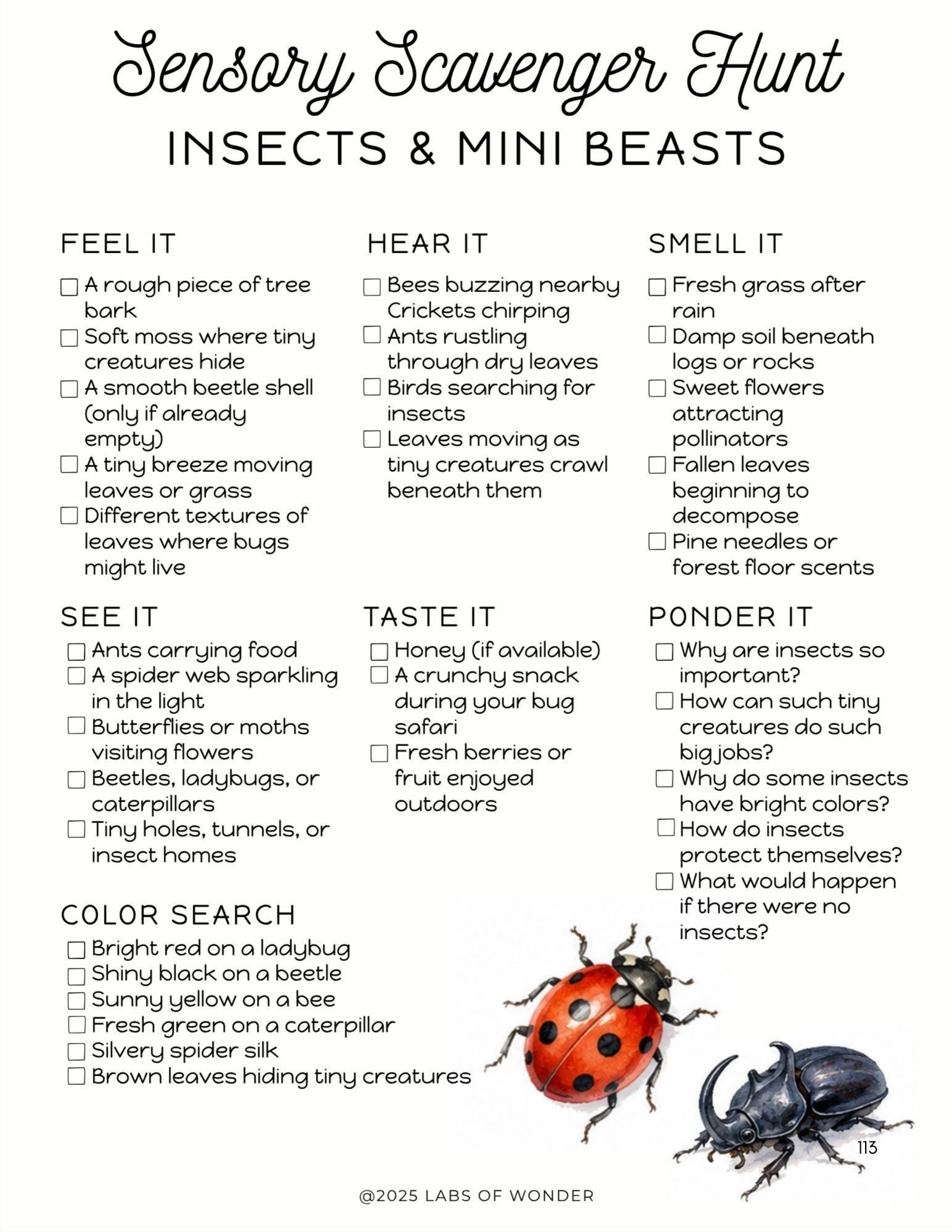 Wonderings - August Homeschool Field Guide - Image 8