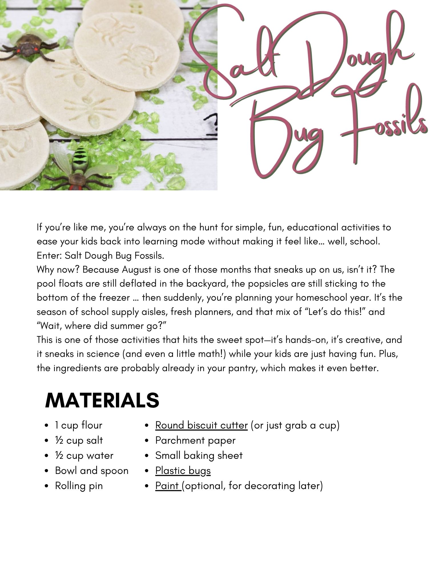 Wonderings - August Homeschool Field Guide - Image 4