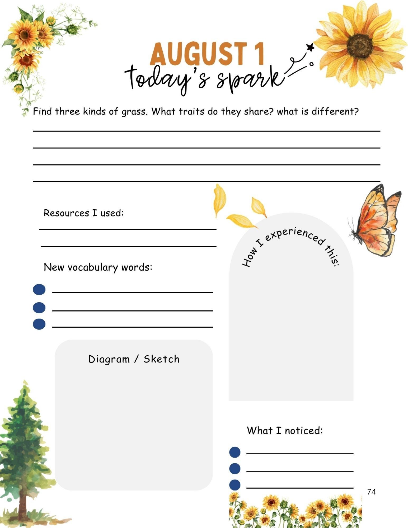 Wonderings - August Homeschool Field Guide - Image 6