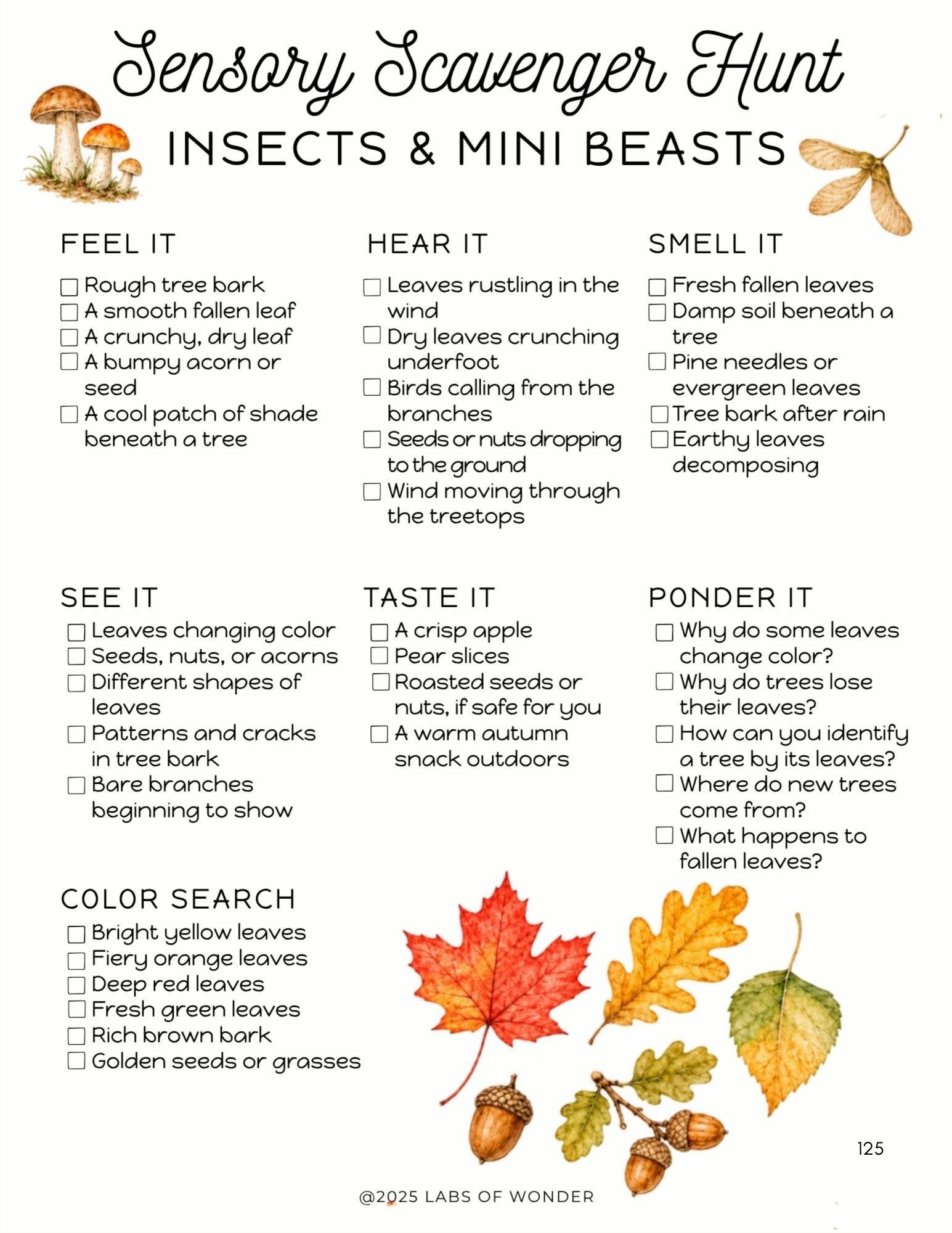 Wonderings - September Homeschool Field Guide - Image 5