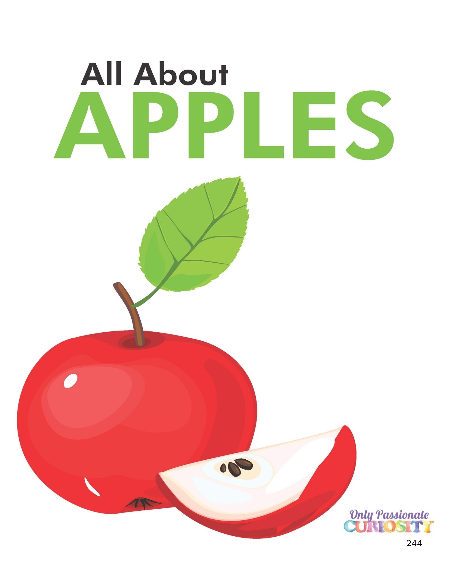 Wonderings - September Homeschool Field Guide - Image 3
